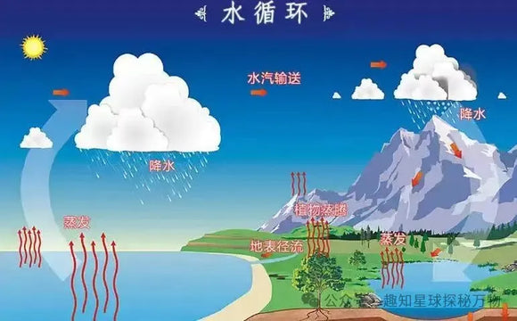 The Journey of Water