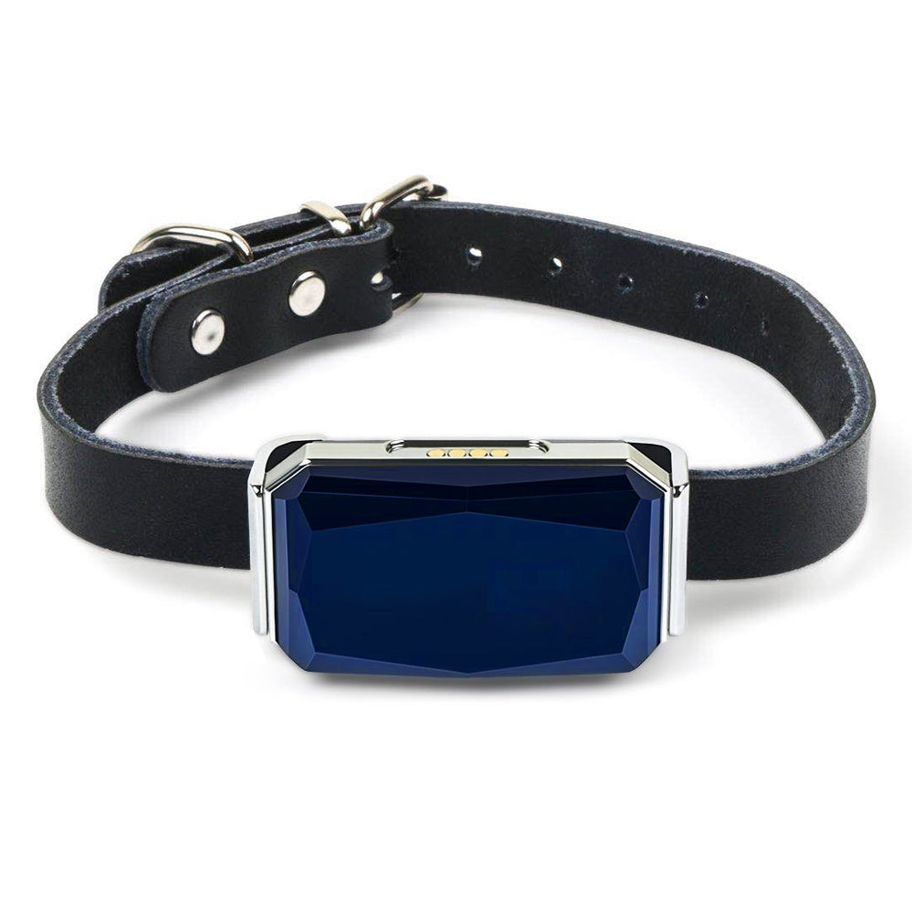 Dog gps hot sale belt